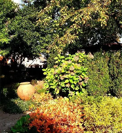 Bed & Breakfast Le Camelie
