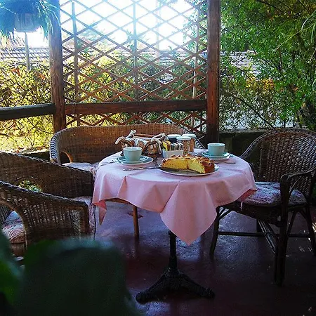 Bed & Breakfast Le Camelie 3*