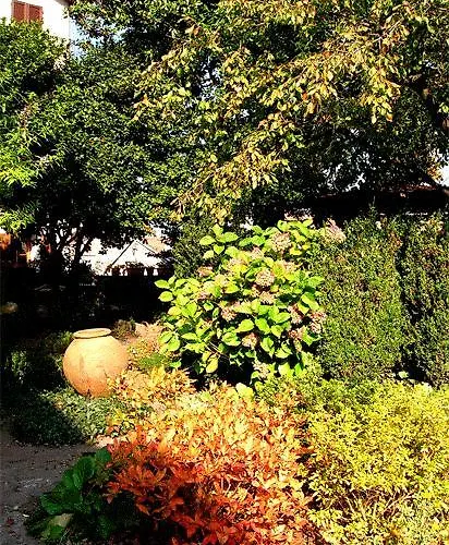 Bed & Breakfast Le Camelie